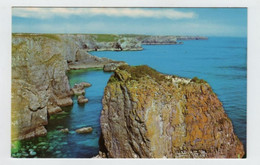 Cymru, Pays De Galles, Stack Toks, Pembrokeshire. - Pembrokeshire