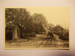 Kasterlee - Zicht Oosteinde - Kasterlee