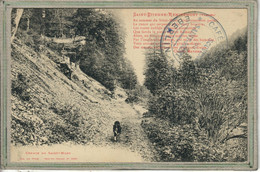 CPA - (ST 88) SAINT-ETIENNE-de-REMIREMONT - Aspect Du Chemin Du Saint-Mont En 1910 - Ad. Weick - Saint Etienne De Remiremont