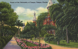 TAMPA - SCENE AT THE UNIVERSITY OF TAMPA - Tampa