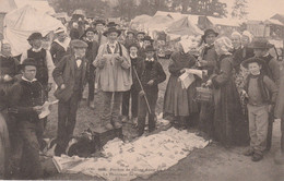 29 SAINTE-ANNE-LA-PALUD  PLonevez-Porzay    Pardon  Le Chanteur De Complaintes Bretonnes SUP PLAN 1904. RARE Voir Descr. - Plonévez-Porzay