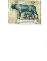 Italia  - Postcard Unused -   Roma -  Capitoline Museums - Capitoline She-wolf - Musei