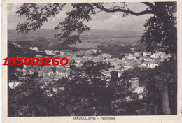 MADDALONI - PANORAMA  F/GRANDE VIAGGIATA 1953 - Caserta