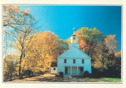 Postcard USA NY New York Albany Autumn - Albany