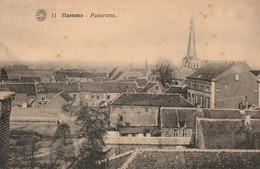 Hamme : Panorama 1920 - Hamme
