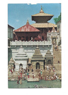 NEPAL - KATHMANDU - TEMPLE OF PASUPATI NATH - Népal