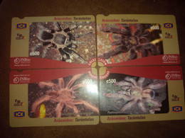 COSTA RICA, CENTRAL AMÉRICA: 4 DIFFERENT SPIDER PHONECARDS - Costa Rica