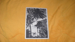 CARTE POSTALE ANCIENNE DE 1949../ CACHETS PAPEETE TAHITI..ARBRES ET PLAGE..+ TIMBRES X5 Ets FRANCAIS DE L'OCEANIE - Tahití