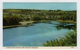 Cymru, Pays De Galles, St. Dogmaels. - Cardiganshire