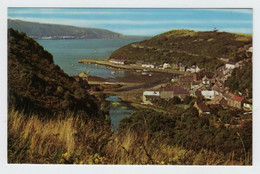 Cymru, Pays De Galles, FISHGUARD. - Pembrokeshire