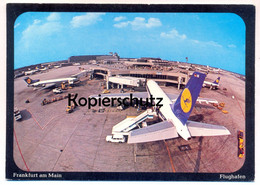 ÄLTERE POSTKARTE FLUGHAFEN FRANKFURT AM MAIN ABFERTIGUNG Flugzeug Airport Lufthansa Airplane Aircraft AK Postcard Cpa - 1946-....: Era Moderna
