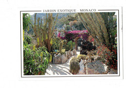 Cpm - MONACO - Jardin Exotique - Fleur Cactus -- 1994 -- Molipor A9 - Exotische Tuin