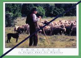 CPM - Image De Provence ---Berger Et Son Chien Et Le Troupeau De Moutons Dans Le Alpilles .. . - Eyguieres