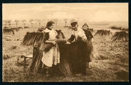 CPA - Carte Postale - Belgique - La Mise En Chaînes Du Lin Vert (CP22295) - Cultures