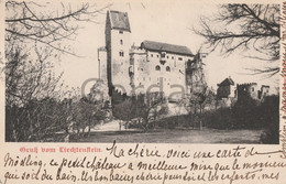 Austria - Liechtenstein Castle - Schloss - Mödling