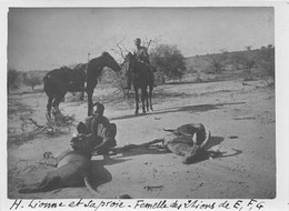 Afrique - NIGER - Chasse à La Lionne Et Sa Proie (Antilope) - Chevaux - Tirage Photo - Niger