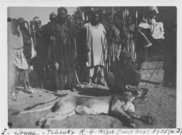 Afrique - NIGER - Chasse à La Lionne à Tabanko (aval Gao) En 1905 - Tirage Photo - Niger