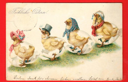 DAG-02 RARE Fröhliche Ostern Joyeuses Pâques, Défilé De Poussins Habillés, Oeufs. Dos Simple, Circ. 1899 - Pâques
