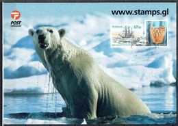 Greenland 2004. Maxi Card, Cancelled Tasiilaq. - Maximumkarten (MC)