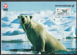 Greenland 2004. Maxi Card, Cancelled Tasiilaq. - Cartas Máxima