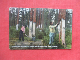 > Black Americana         Chipping The Pine Tree Turpentine Farm Florida        Ref 5931 - Negro Americana