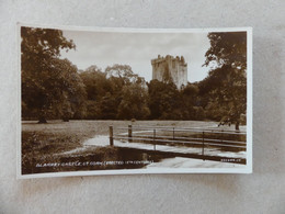 Blarney Castle Cork Erected 15 Th Century - Cork