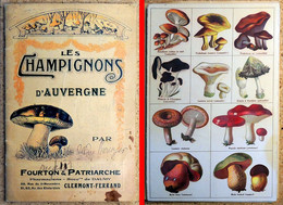 Champignons D'Auvergne De FOURTON & PATRIARCHE Pharmaciens à Clermont-Ferrand Début XX° Siècle - Auvergne