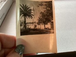 Photo Noir Et Blanc, 1940, Algérie Saida La Mosquée Avec Palmiers, Moto, Enfin Devant Moto,homme  Assis Par Terre - Saida