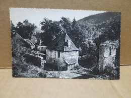 CHARTREUSE DE VAUCLUSE (39) L'ancien Monastère - Autres & Non Classés