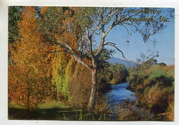 AK 114855 AUSTRALIA - Bright - The Ovens River - Sonstige & Ohne Zuordnung