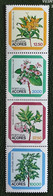 Açores Portugal Flore Fleurs Genévriers Millepertuis Flora Flowers Roses Blueberries Blüte Flores Fiori ** 1983 Carnet - Medicinal Plants