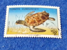 TÜRKEY--1980- 90  -  1000TL      DAMGALI - Usati