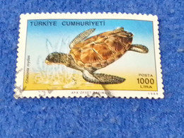 TÜRKEY--1980- 90  -  1000TL      DAMGALI - Usados