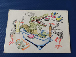 CROCODILE IN A BATH. OLD USSR Postcard. 1962. Rare! - Crocodile - Teeth - Tooth Brush - Santé