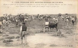 Saintes Maries De La Mer * Une Ferrade * Manade Taureaux Corrida - Saintes Maries De La Mer