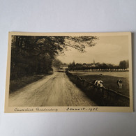 Oosterbeek (Gld.) Benedendorp (Koeien) 1935 - Oosterbeek