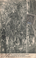 Nouvelle Calédonie Et Dépendances Timbre Sur Carte Postale Cachet 1904 , Plantation De Cocotiers - Storia Postale