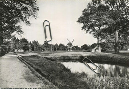 MOL-Millegem Molen   ( In Domein Bokrijk )   (  15 X 10.5 Cm ) - Mol