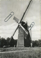 Schulen  Windmolen   ( In Domein Bokrijk )   (  15 X 10.5 Cm ) - Mol