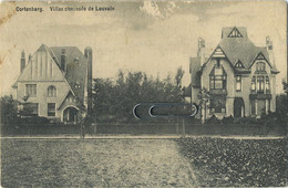 Cortenberg - Kortenberg :  Villas Chaussée De Louvain - Kortenberg