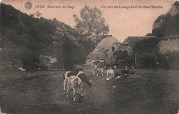 Belgique - Environs De Huy - Un Coin De Lovegnée Et Le Vieux Moulin - Vache - Animé - Carte Postale Ancienne - - Sonstige & Ohne Zuordnung