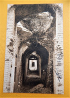 MARIEMONT -  Ruines De Mariemont - Galerie Des Caves à Provision  -  1909 - Morlanwelz