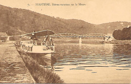 HASTIERE  ( Belgique ) - Bateau Excursion Sur La Meuse - Hastière