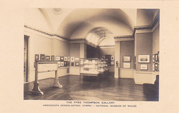 CPA CARDIFF- NATIONAL MUSEUM OF WALES, PYKE THOMPSON GALLERY - Glamorgan