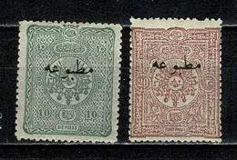 Turkiye Journaux 1894 Yv. 12/13* (2 Scans) MH Neuf Avec Trace De Charnière / Nieuw Met Plakkerspoor - Newspaper Stamps