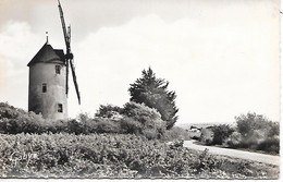 BOURGNEUF ( 44 ) - Moulin De L'Arzelier ( C.P.S.M. , Pt - Ft ) - Bourgneuf-en-Retz