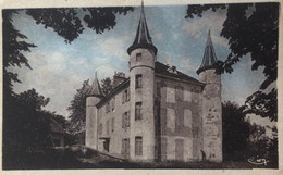 Saint-Geoire-en-Valdaine - Château De La Rochette - CPA Couleur - Saint-Geoire-en-Valdaine