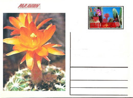 GUINEA ECUATORIAL FLOWER CACTUS 13 POST CARDS - Cactusses