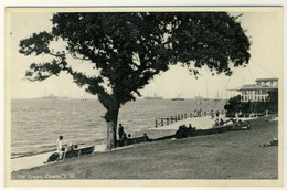 Carte Photo The Green - Cowes - Cowes