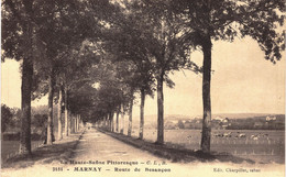 Carte POSTALE  Ancienne De MARNAY - Route De Besançon - Marnay